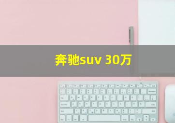 奔驰suv 30万